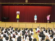 r161.jpg