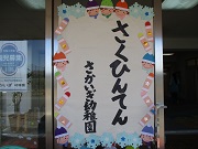 rs21.jpg